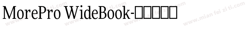 MorePro WideBook字体转换